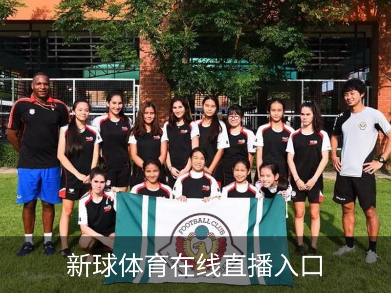 关于新球体育在线直播入口